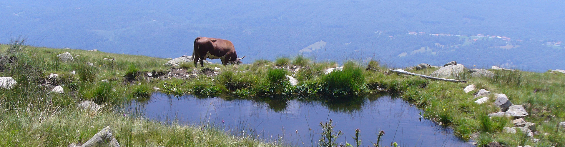 Montagna