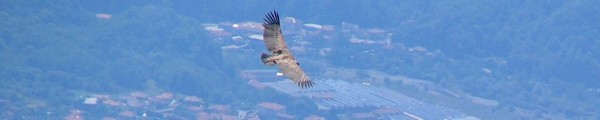 AT9 Fotogrammi stereoscopici da volo aereo