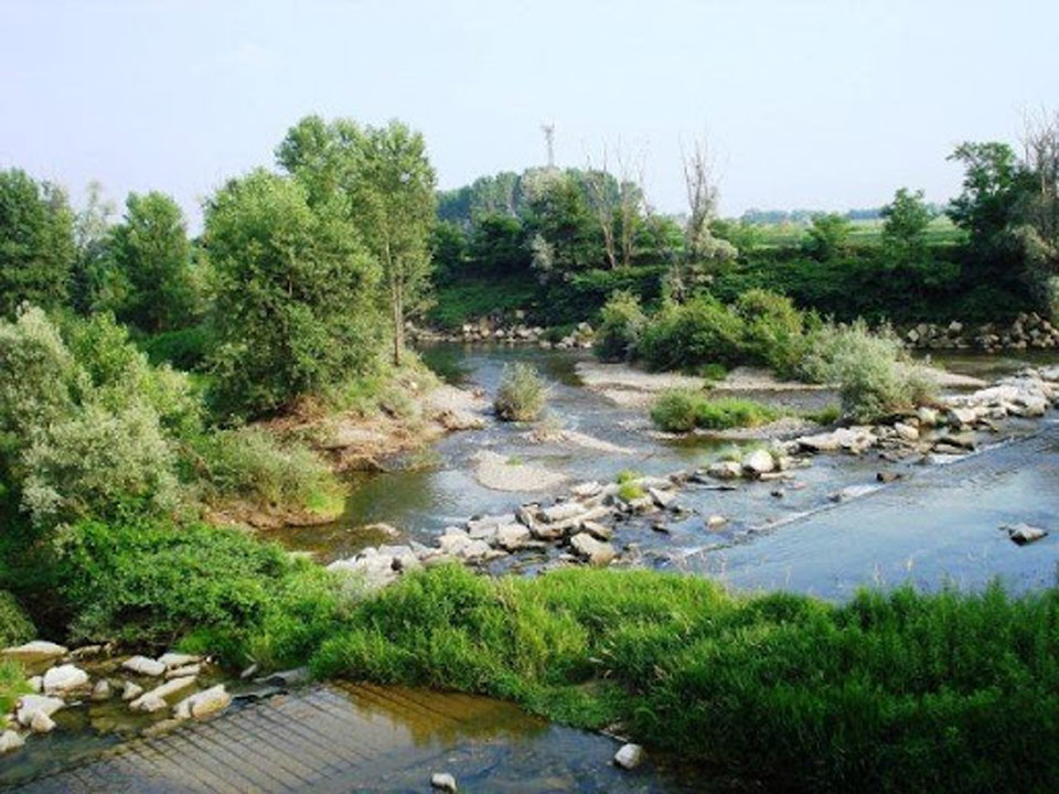 torrente elvo