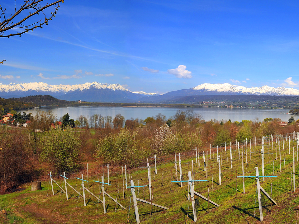 paesaggio rurale_viverone