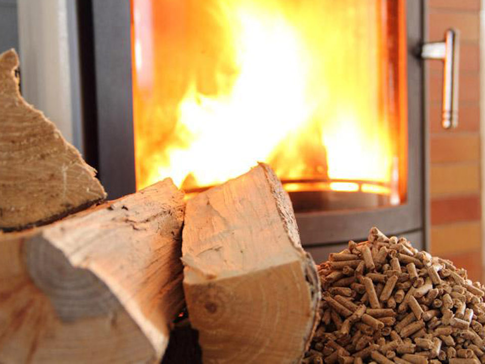 biomassa legnosa