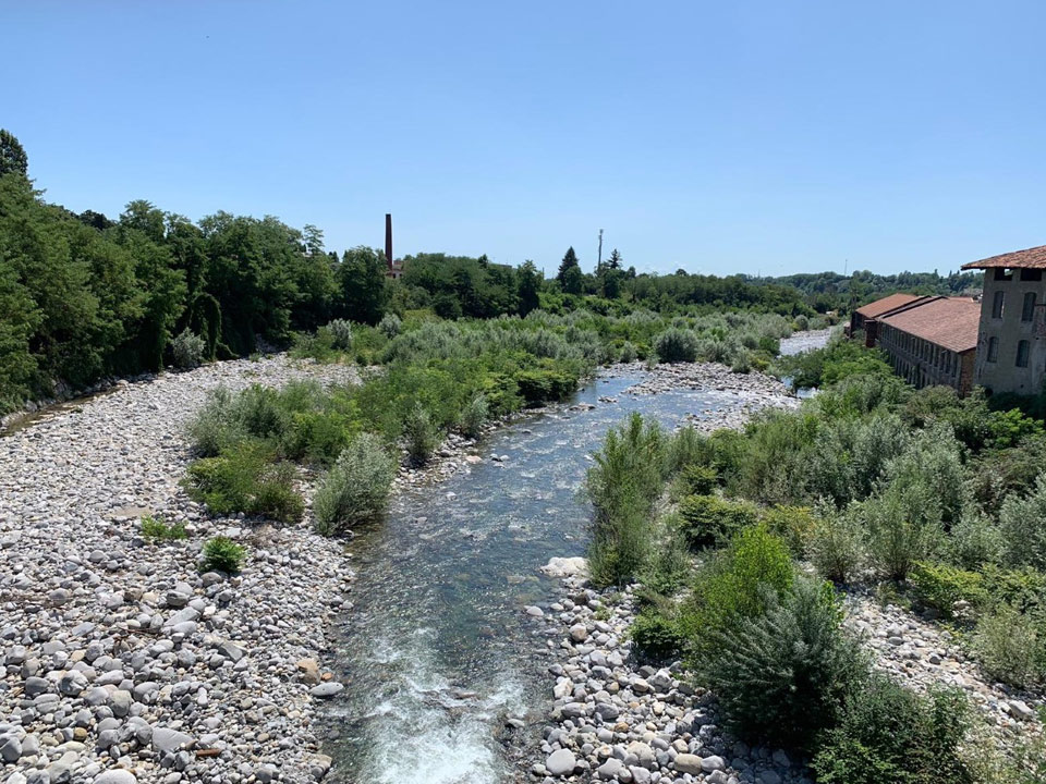 torrente cervo