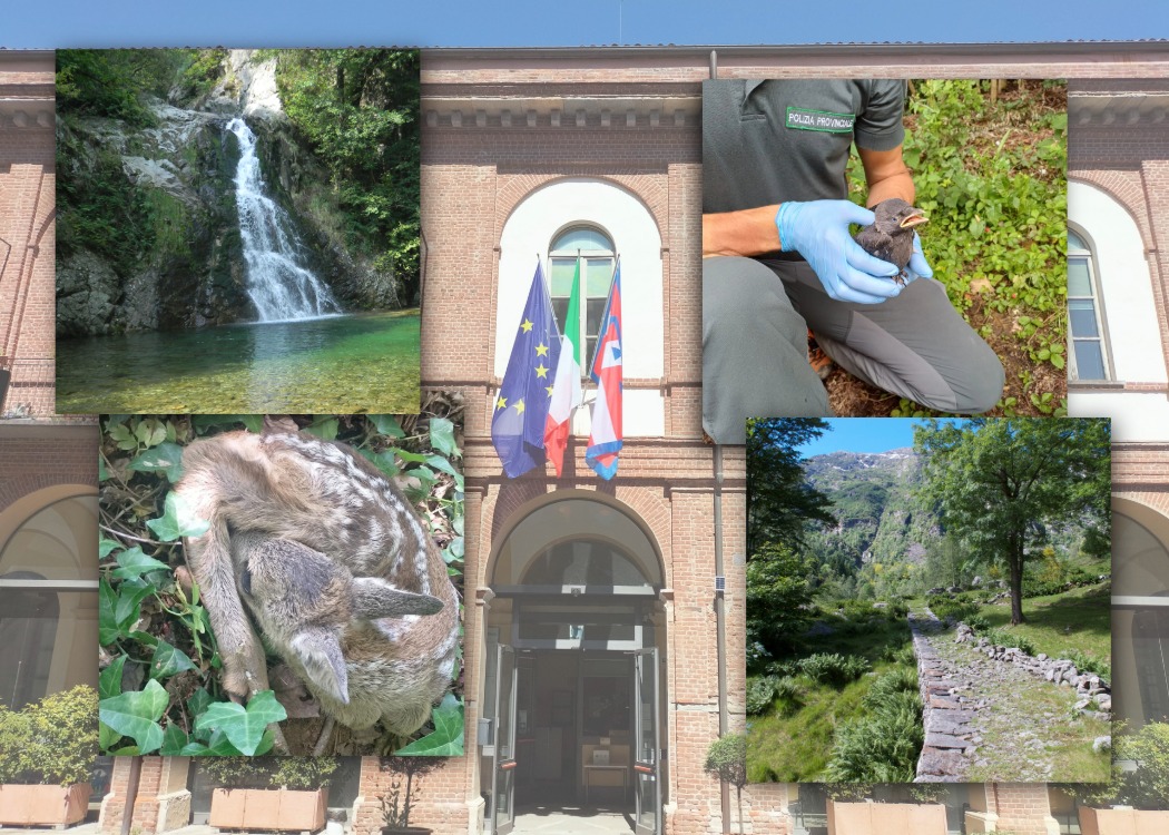 Il lavoro delle Guardie Provinciali, alla ricerca di un equilibrio tra ambiente e popolazione