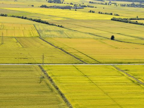 WEBINAR - Risorse PNRR, la protezione e valorizzazione dell’architettura e del paesaggio rurale