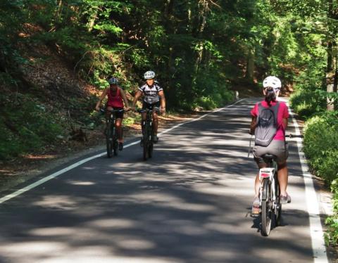 Sicurezza: divieto temporaneo ai ciclisti su tratto della SP Bioglio-Valle S. Nicolao