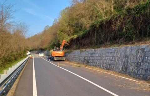 Taglio del verde, cantieri lungo la SP 419 della Serra e la SP 412 Bornasco - Sala Biellese
