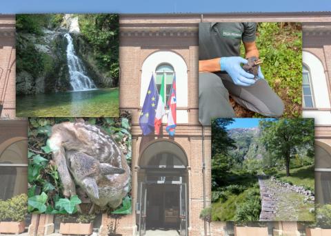 Immagine notizia Il lavoro delle Guardie Provinciali, alla ricerca di un equilibrio tra ambiente e popolazione